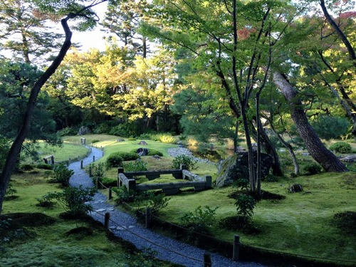 12079609_505586836277269_6025303325089124861_n