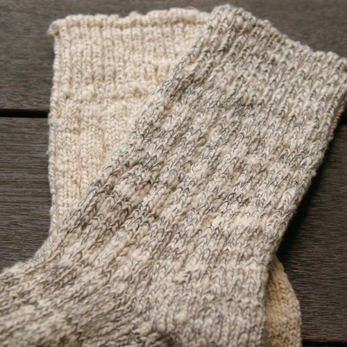 11228899_501961396639813_908894851613697350_n