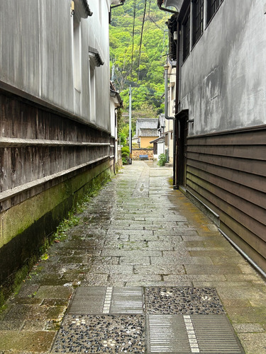 S__55279627