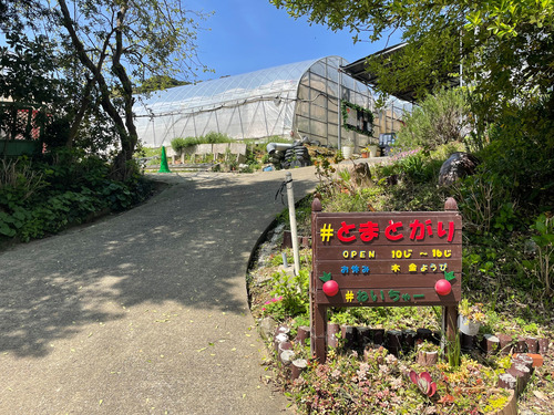 S__34684931
