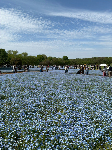 2850