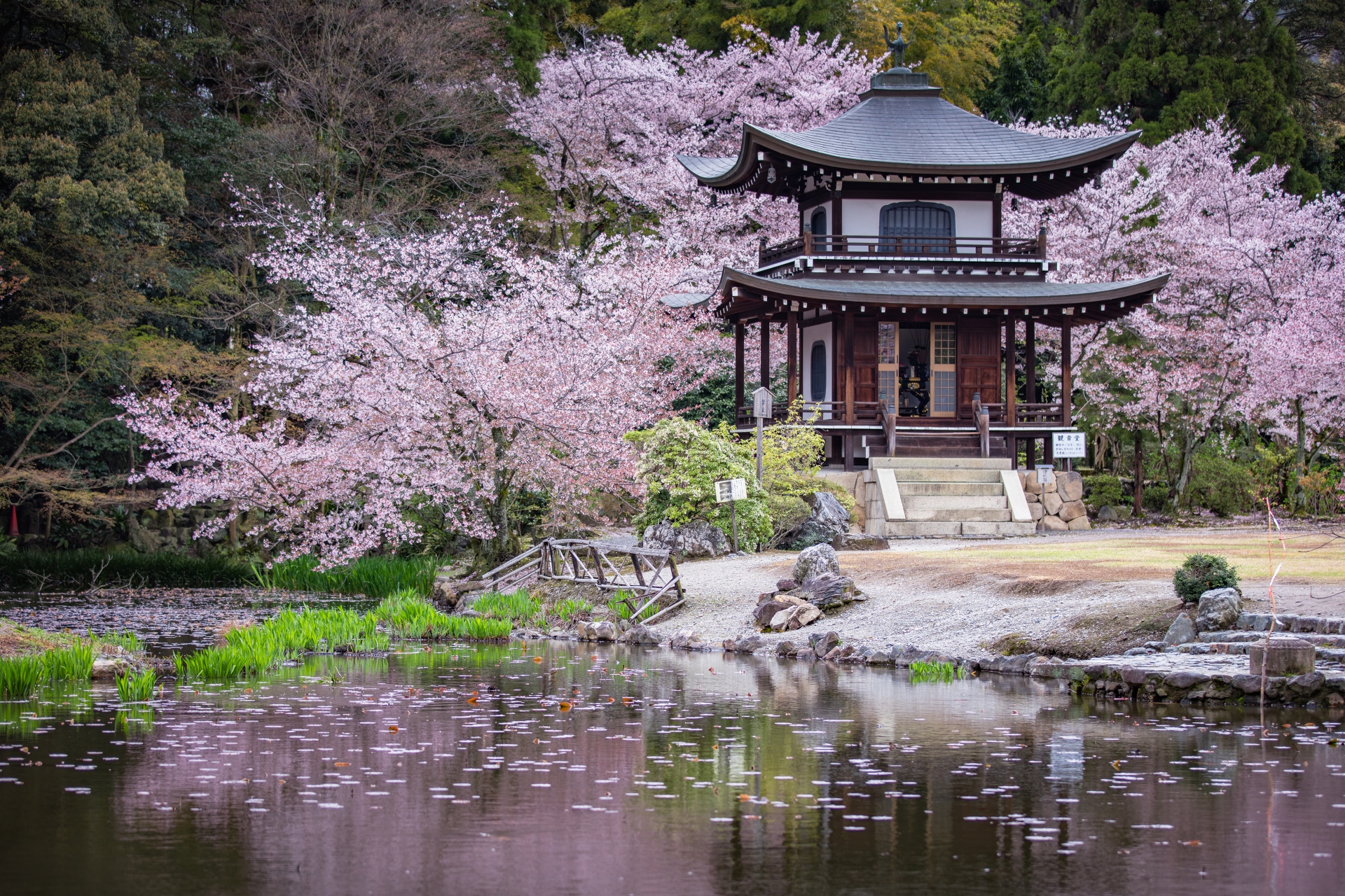 京都市山科区にある勧修寺 かじゅうじ は桜の名所としても知られており 05年の そうだ 京都 行こう のポスターに勧修寺の桜風景が選ばれました 職人 Comブログ 京都市山科区にある勧修寺 かじゅうじ は桜の名所としても知られており 05年の そうだ 京都 行こう のポスターに勧修寺の桜風景が選ばれました 職人 Comブログ