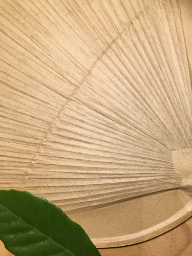 S__33087519