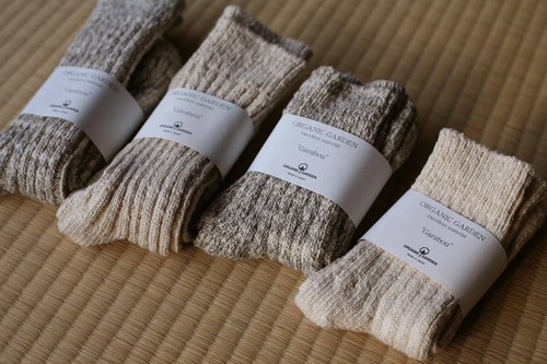 15095106_680057048830246_6245138899953802393_n