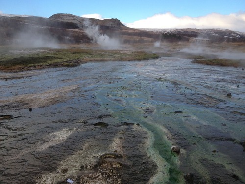 21765828_844056829096933_1359573271323477908_o