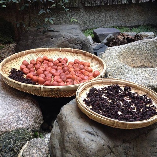 11012832_475967409239212_4164669201889492015_n