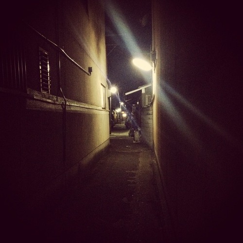 11269816_450786095090677_8440187646311596010_n[1]