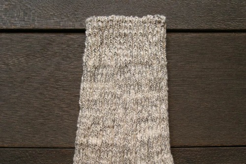 12115877_501961369973149_8088761553740318652_n