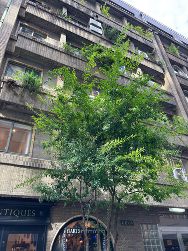 S__89686057