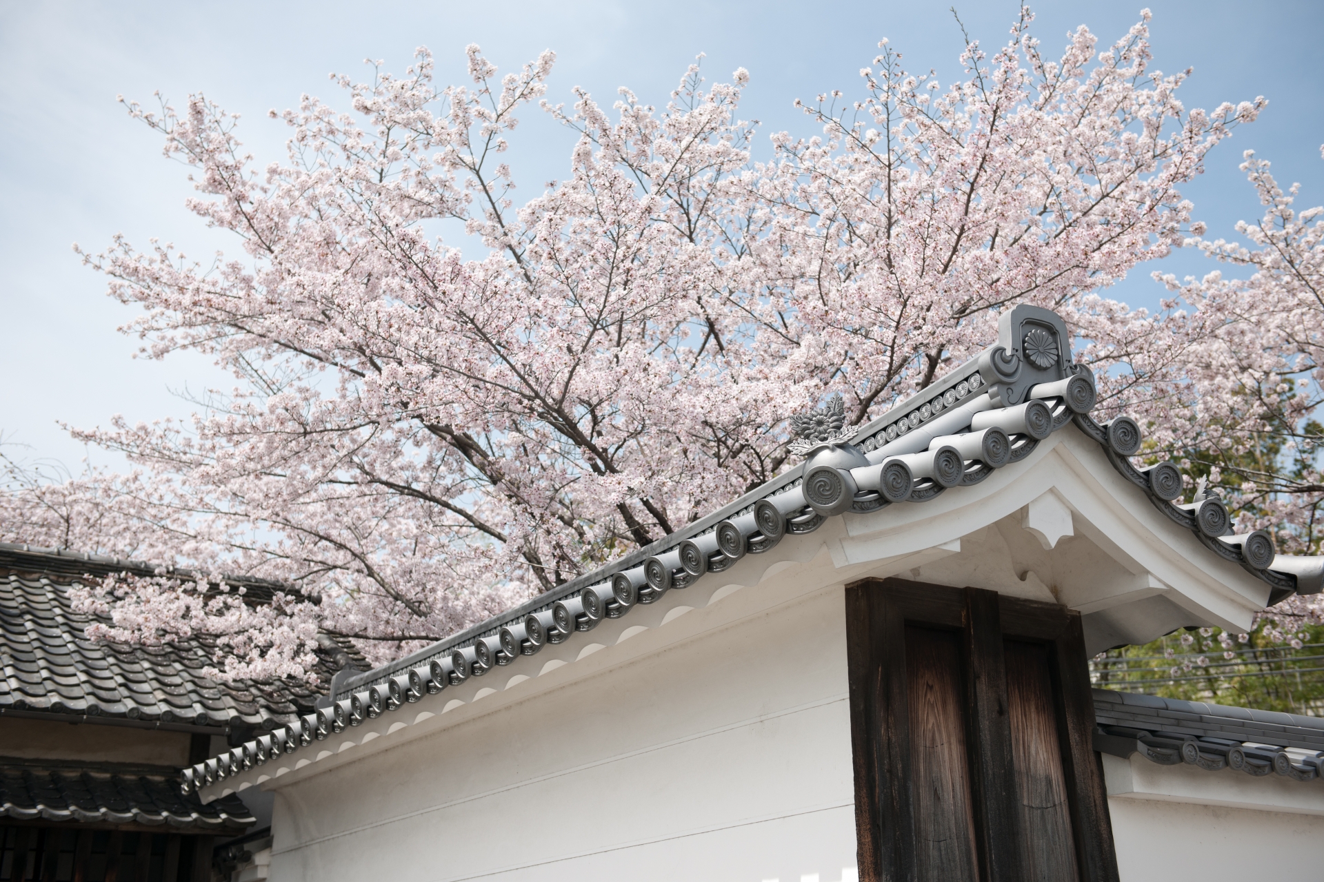 京都市山科区にある勧修寺 かじゅうじ は桜の名所としても知られており 05年の そうだ 京都 行こう のポスターに勧修寺の桜風景が選ばれました 職人 Comブログ