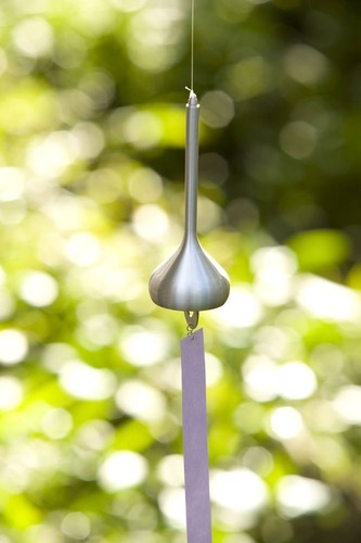 18921964_785177928318157_8040544945126587562_n