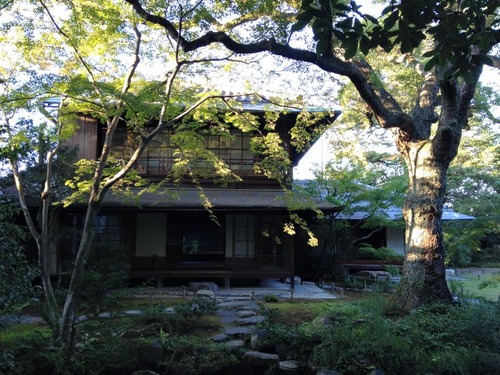 12141641_505586862943933_7404767672866930232_n