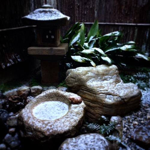 12552986_537078146461471_6850302572943613904_n