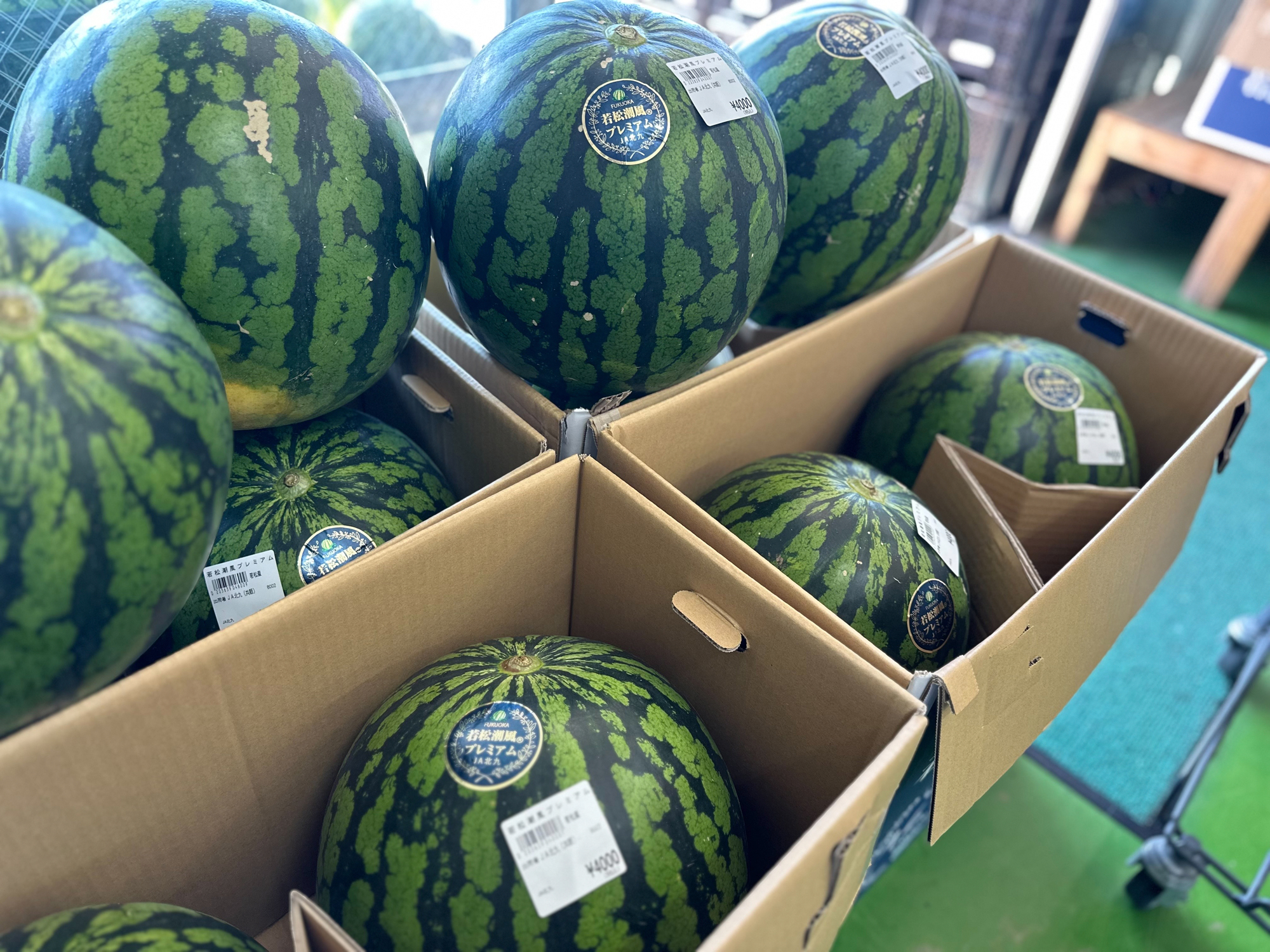 若松潮風プレミアム】北九州市若松区の夏の特産品といえば、スイカ