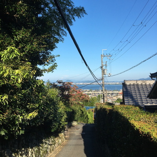 S__37077006