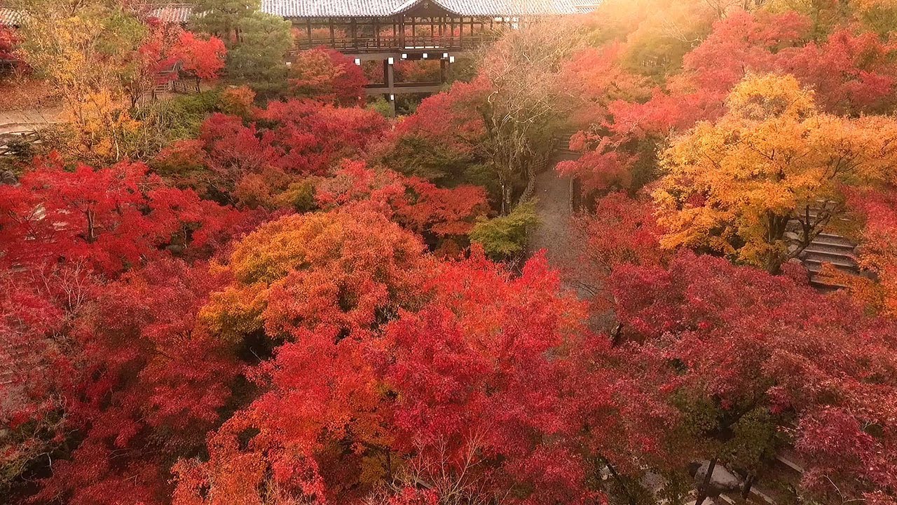 锦秋 红叶狩 红叶狩 则是平安贵族远足至嵯峨野 嵐山等山林深处 访寻丹枫 折摘赏玩的雅趣游行 职人 Com博客 锦秋 红叶狩 红叶狩 则是平安贵族远足至嵯峨野 嵐山等山林深处 访寻丹枫 折摘赏玩的雅趣游行 职人 Com博客