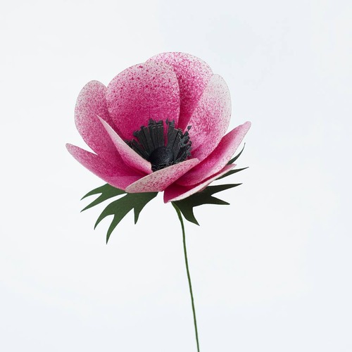 29186802_1584069368381016_6334999100001353728_n