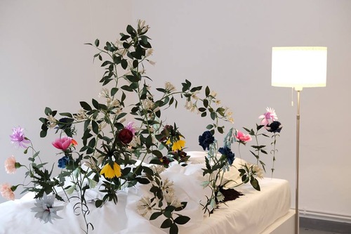 29186242_1584069135047706_936058160471343104_n