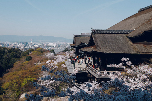 spring_ph_02
