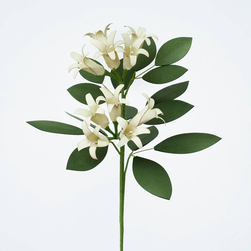 Paper Eden With Naoron已在商店中添加 这是使用大直的材料 Naoron 的纸花品牌 花艺师 Edenworks 设计它们 职人 Com博客