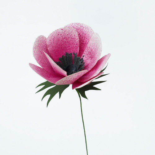 Paper Eden With Naoron 紙上生花 Paper Eden With Naoron的紙花工藝 卻可以讓你隨時隨地在自己家裡欣賞美麗的花朵 職人 Com網誌
