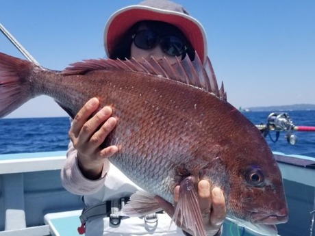 2019 ����