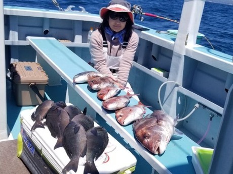 2019���䣲