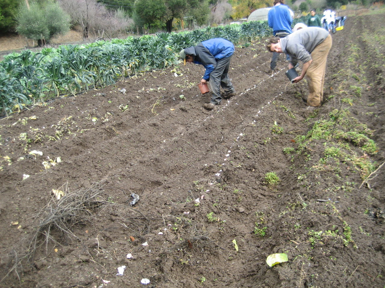アメリカで根付く小規模農業csa ３ 食農ｄｏｔｃｏｍ