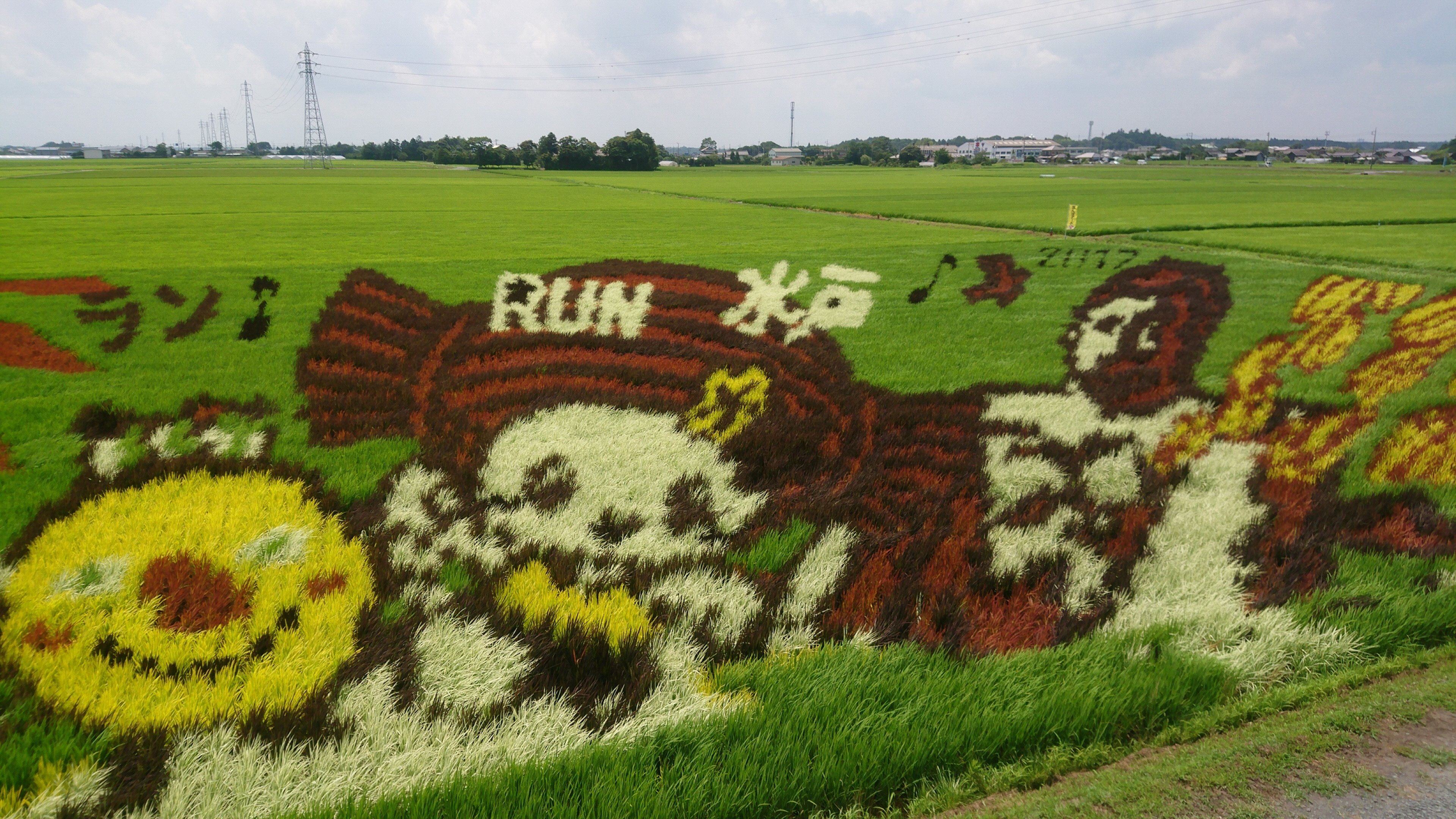 it短大の近くに 田んぼアート 茨城県ものづくり人材育成ブログ