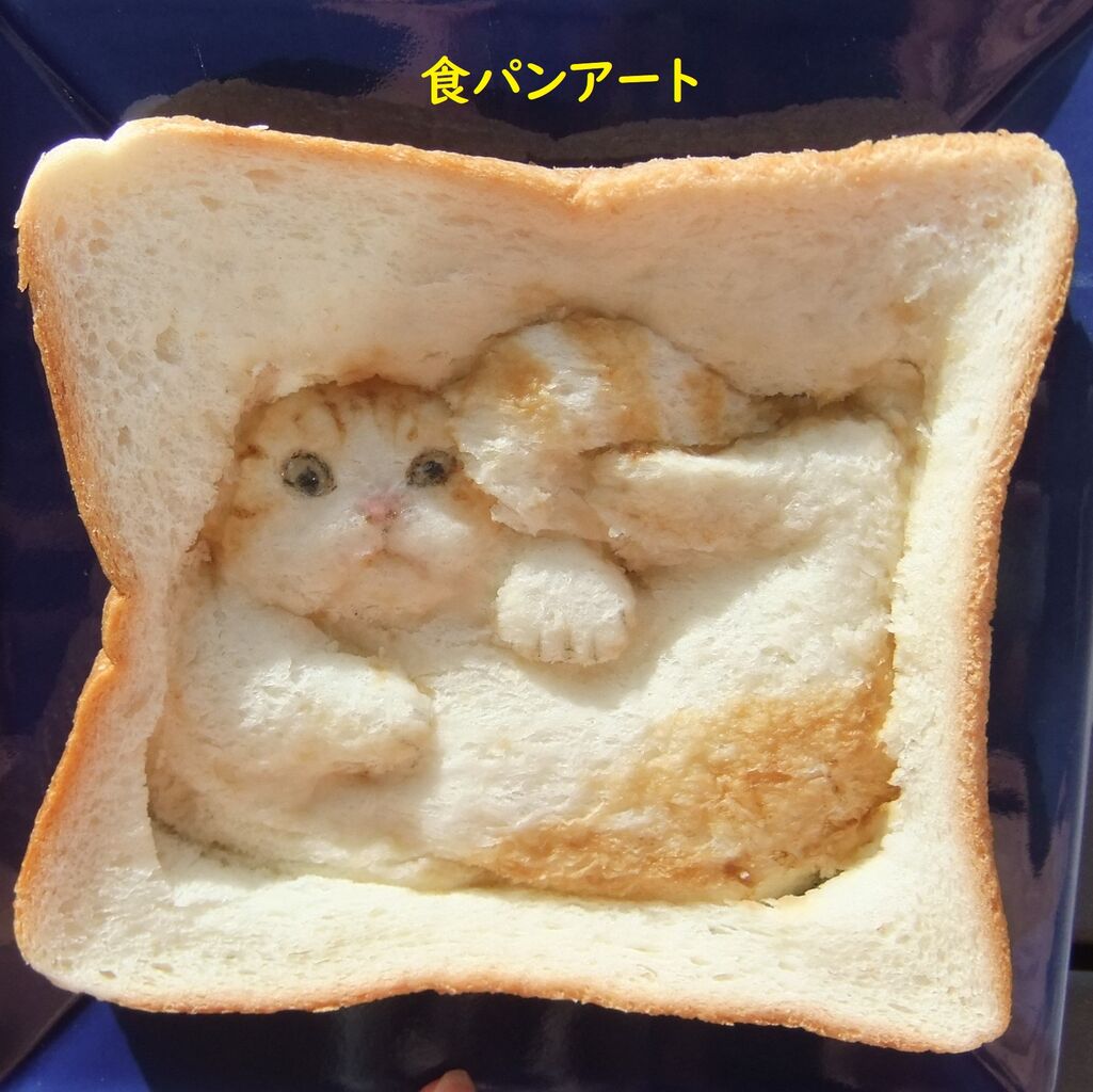 食パンにハマり込んだ猫 食パンの窓