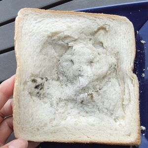 制作工程 (3)
