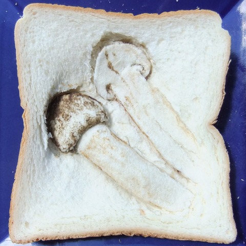制作工程 (3)