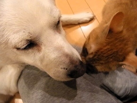 どんと2012年1-24