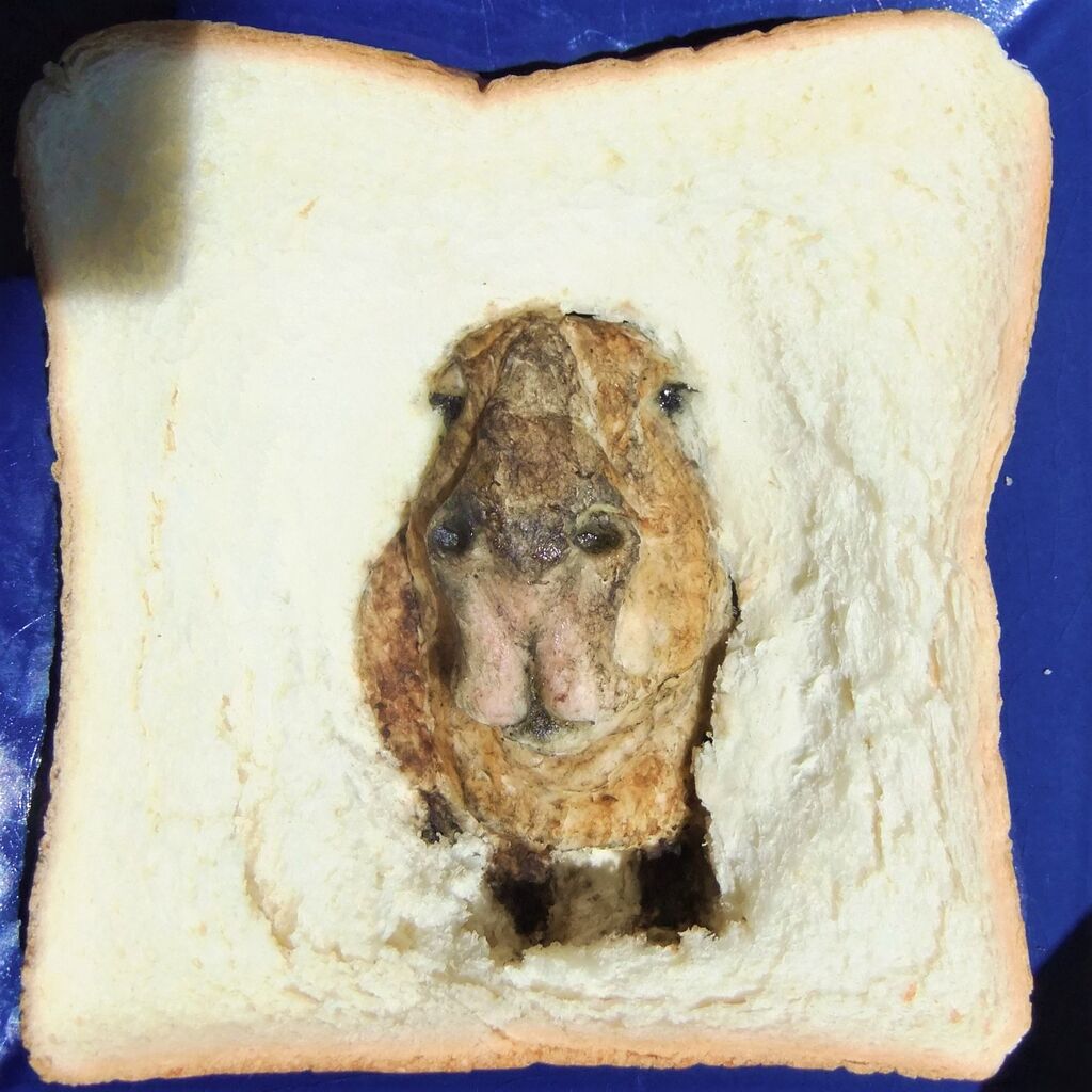 カピバラ 食用
