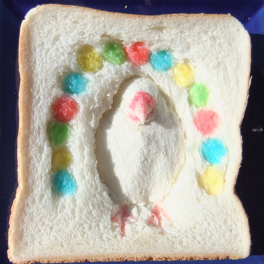 燦 文鳥 食パンの窓 燦 文鳥 食パンの窓