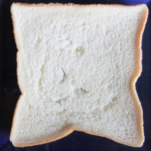 DSCF3556