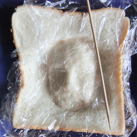 DSCF8757
