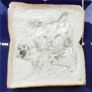 制作工程 (4)