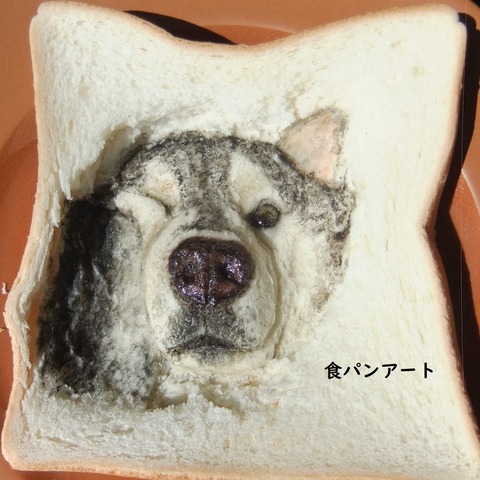 ブヒブヒ文太 食パンの窓