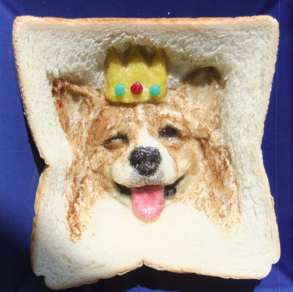 コーギー 食パンの窓 コーギー 食パンの窓