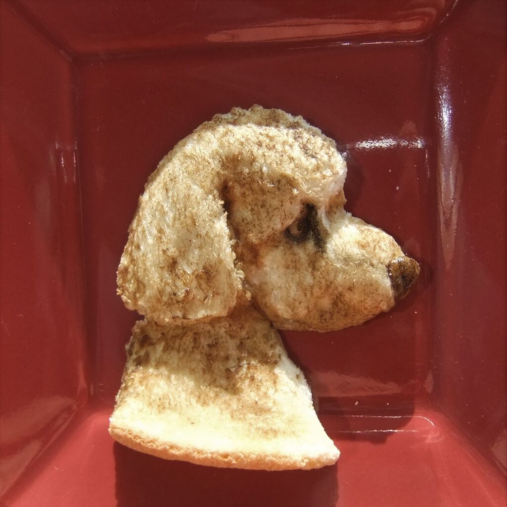 食パンで作った トイプードルのコンちゃん 秘密結社食パンもん俱楽部