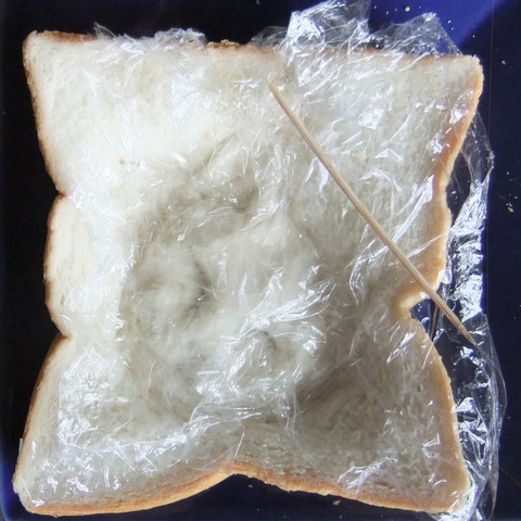 DSCF3557
