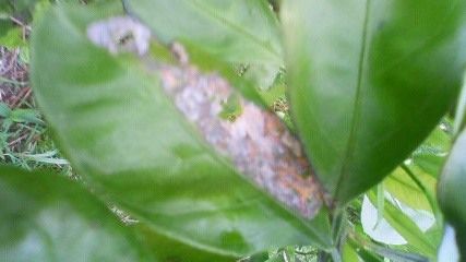 1d2272f3.jpg