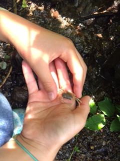 image2 (2)