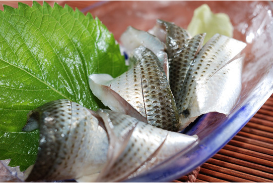 冬 こはだの効能と寿司 酢締めの紹介 食事百科事典 旬の食材と料理でいつまでも健康に 冬 こはだの効能と寿司 酢締めの紹介 食事百科事典 旬の食材と料理でいつまでも健康に