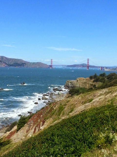 Ucsf整形外科 留学日記 In 14 15