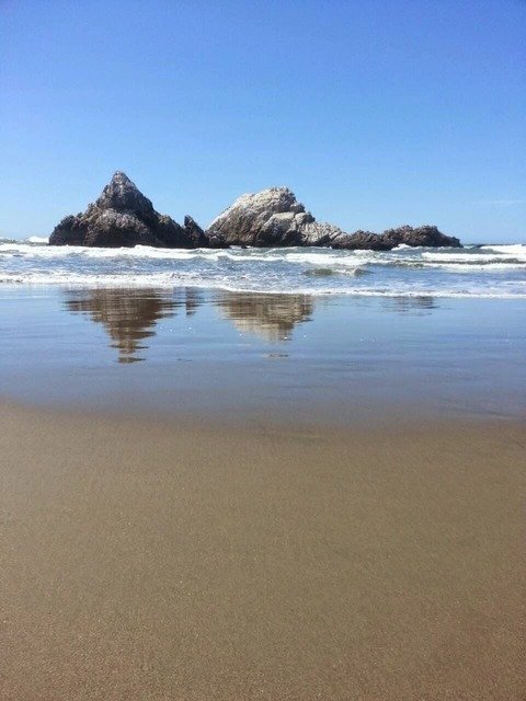 Ucsf整形外科 留学日記 In 14 15