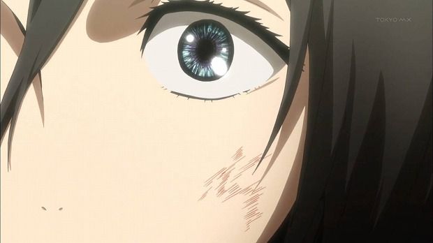 進撃の巨人キャラの目って物凄い綺麗だよな しょーまん 進撃の巨人キャラの目って物凄い綺麗だよな しょーまん