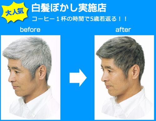 私の散髪は白髪ぼかしです 将門web 私の散髪は白髪ぼかしです 将門web