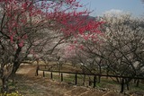 12010307